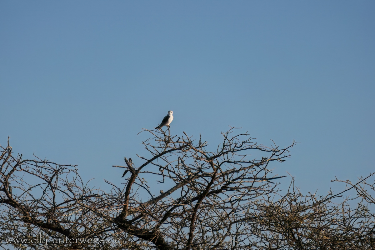 Namibia-Otjisazu-Farm-Windhoek-107.jpg