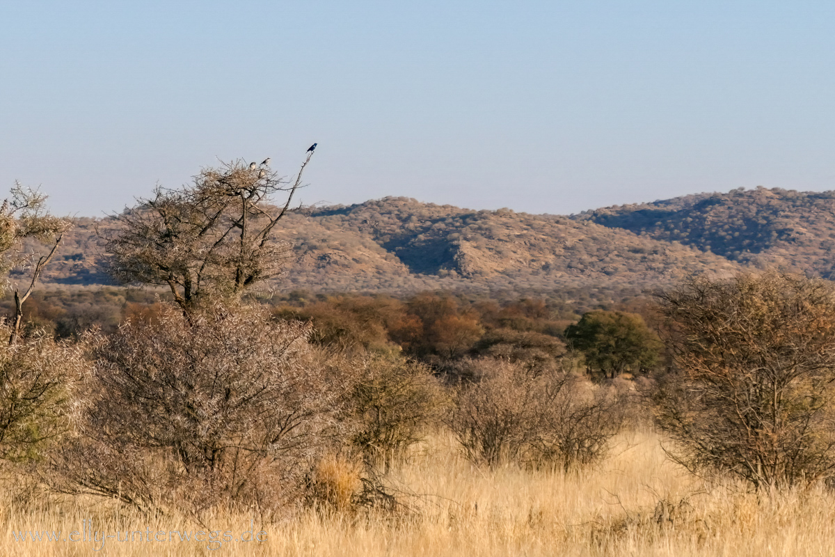 Namibia-Otjisazu-Farm-Windhoek-11.jpg