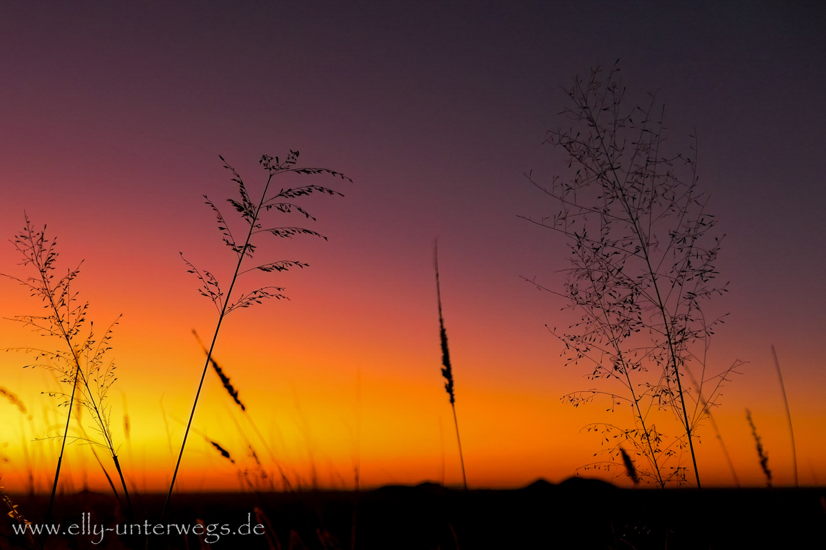 Namibia-Otjisazu-Farm-Windhoek-127.jpg