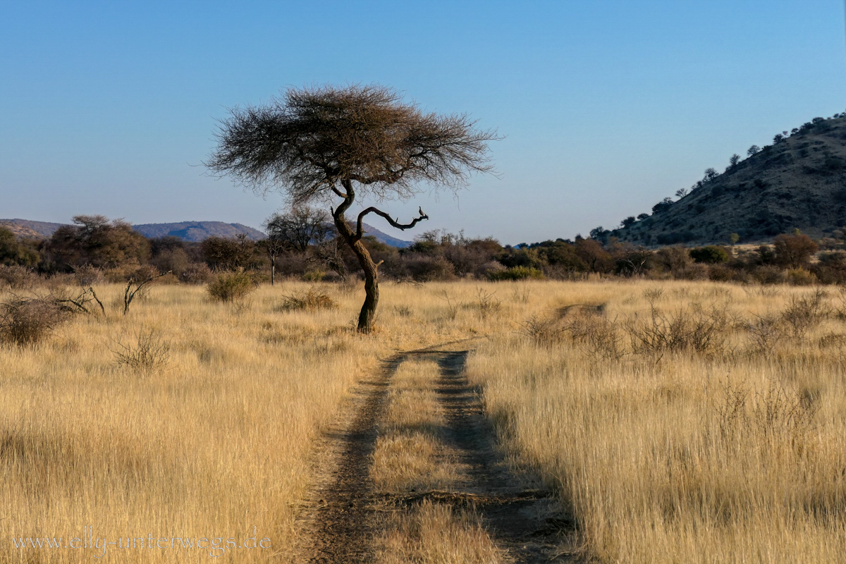 Namibia-Otjisazu-Farm-Windhoek-154.jpg