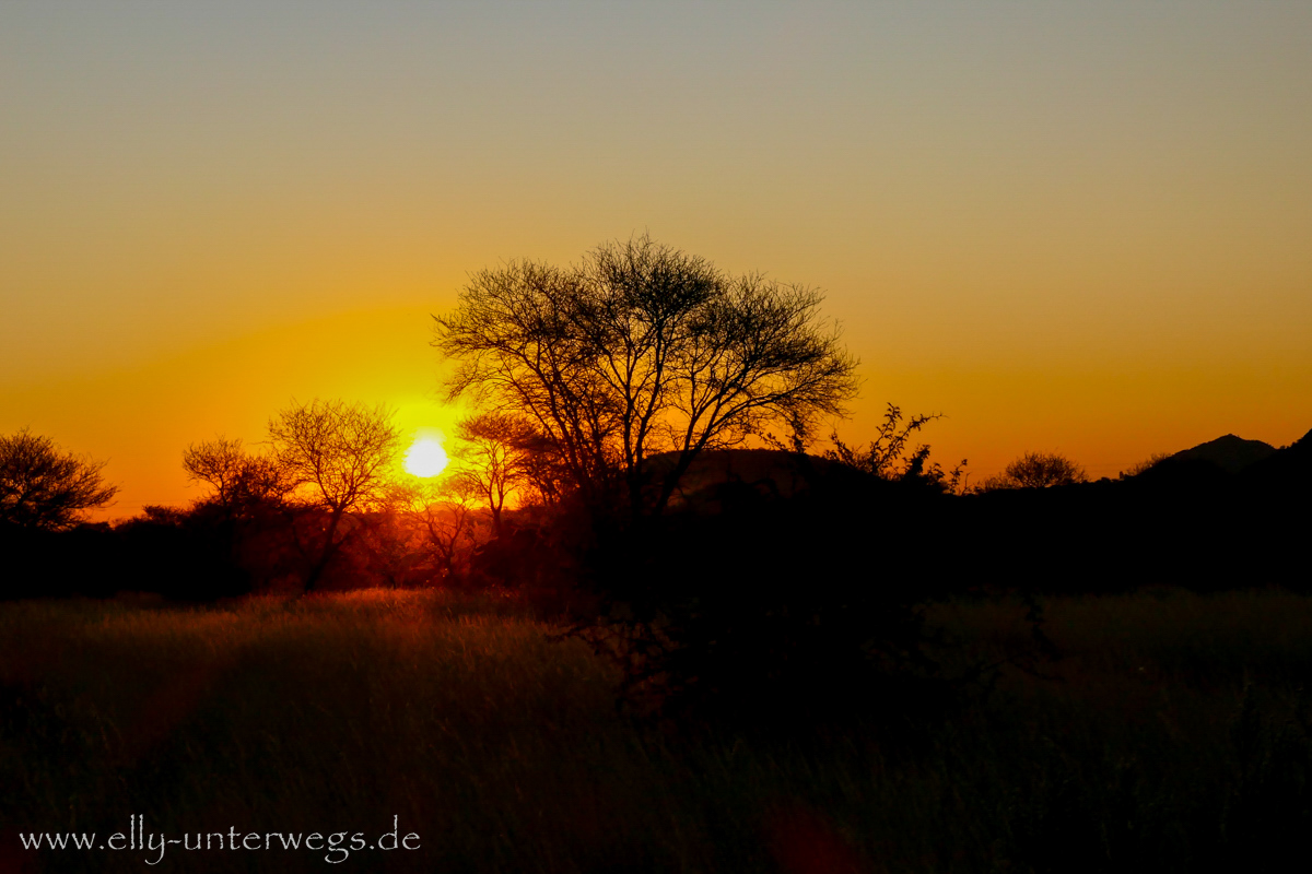 Namibia-Otjisazu-Farm-Windhoek-45.jpg