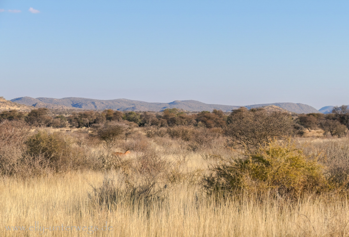 Namibia-Otjisazu-Farm-Windhoek-5.jpg