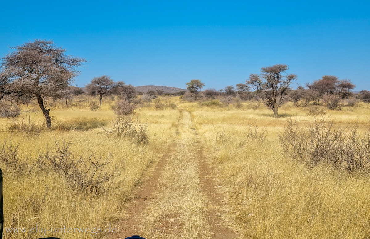 Namibia-Otjisazu-Farm-Windhoek-61.jpg