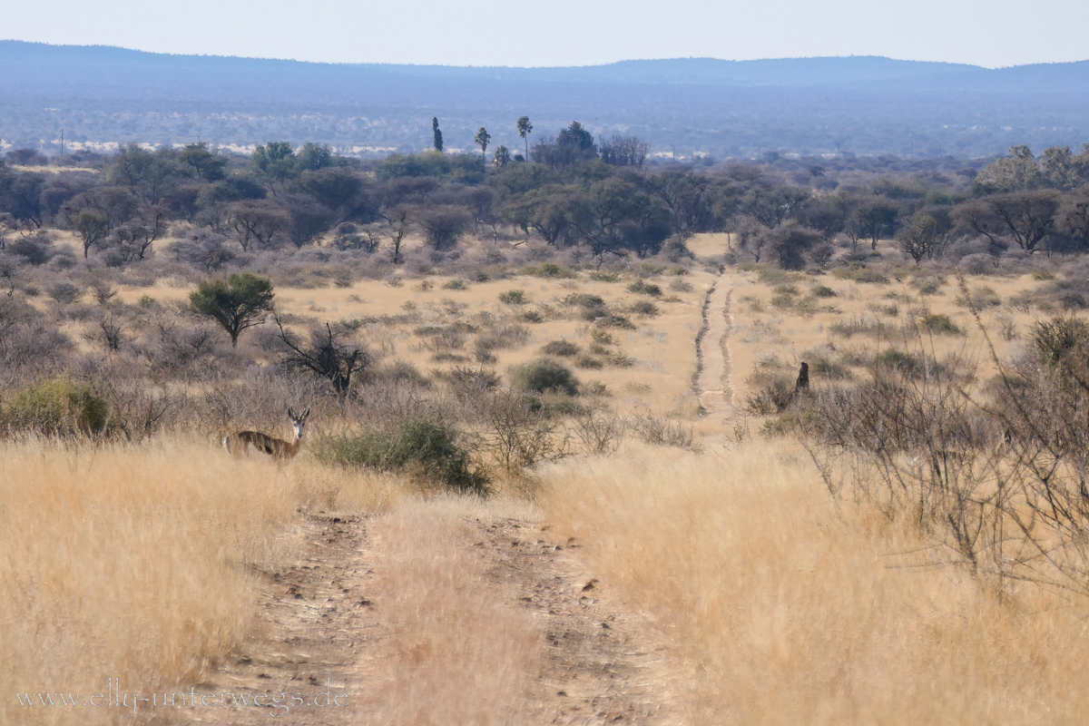 Namibia-Otjisazu-Farm-Windhoek-97.jpg