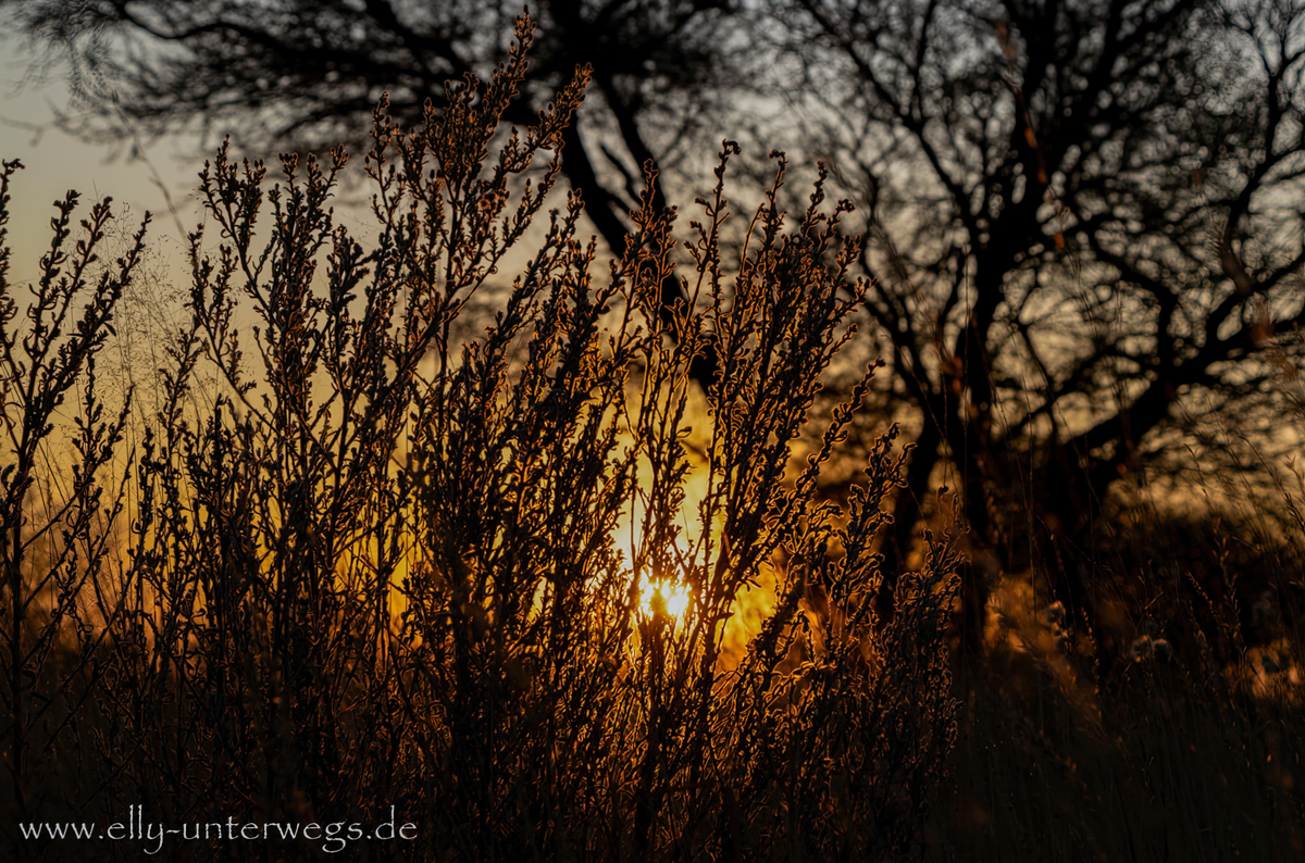 Otjisazu-Guestfarm-Namibia-103.jpg