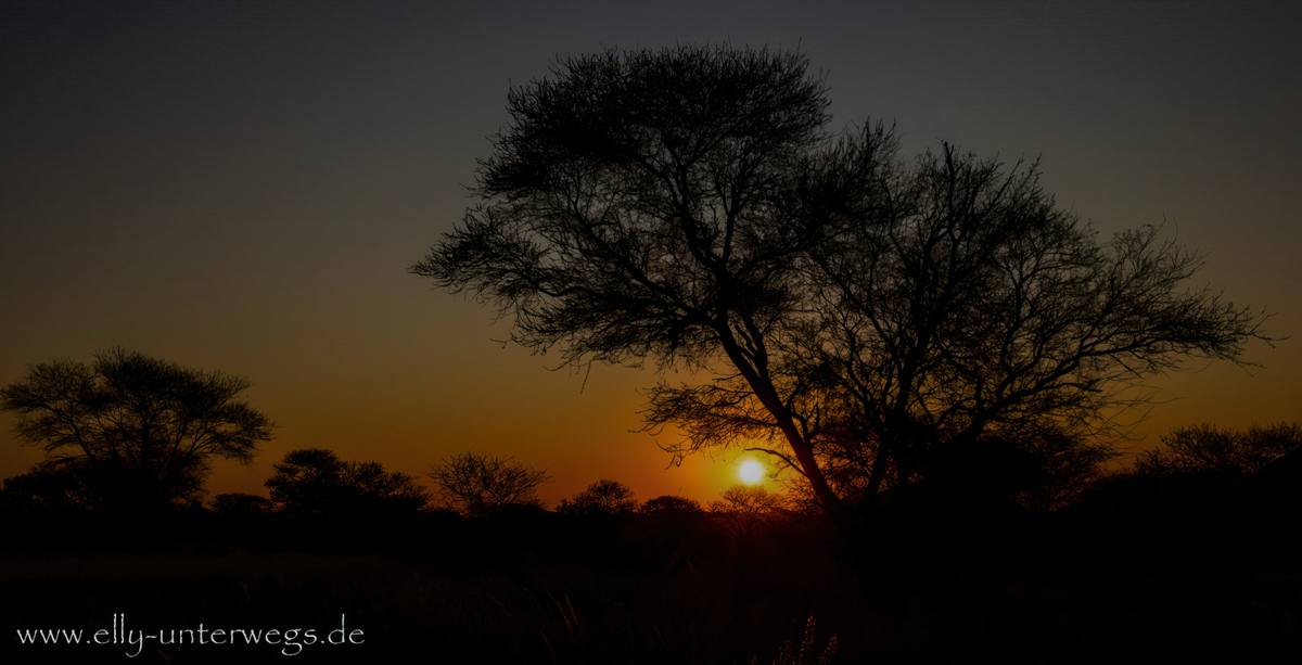 Otjisazu-Guestfarm-Namibia-104.jpg