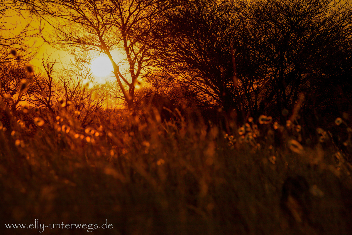 Otjisazu-Guestfarm-Namibia-105.jpg