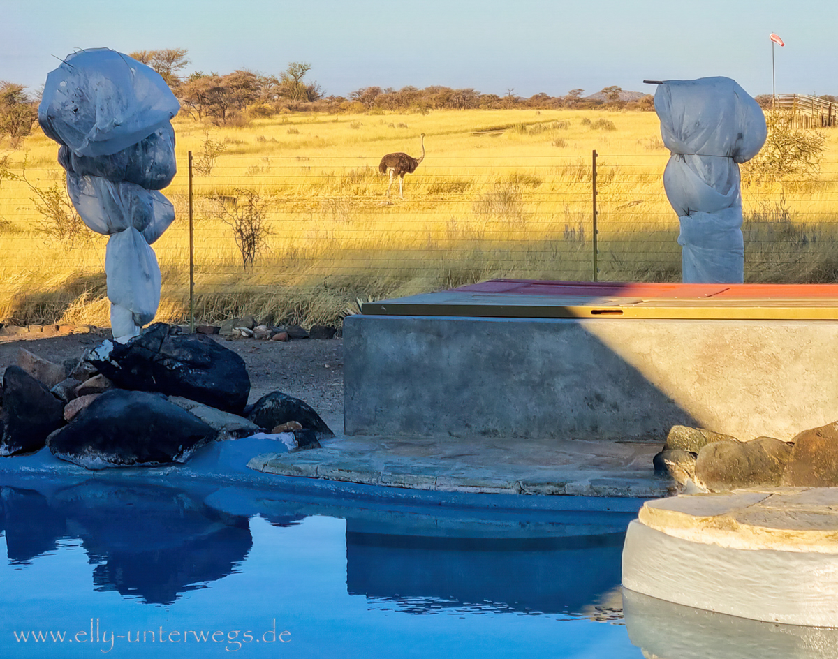 Otjisazu-Guestfarm-Namibia-73.jpg