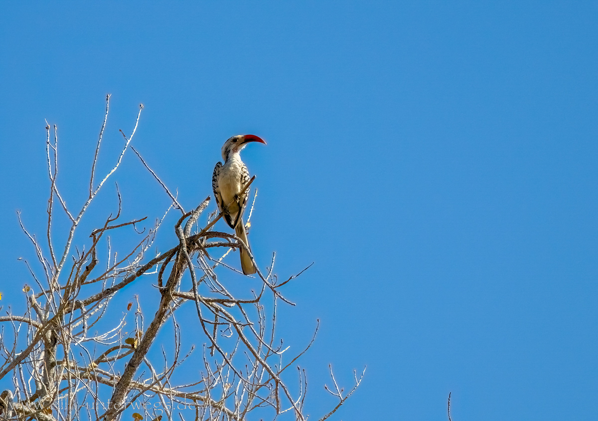 Otjisazu-Guestfarm-Namibia-95.jpg