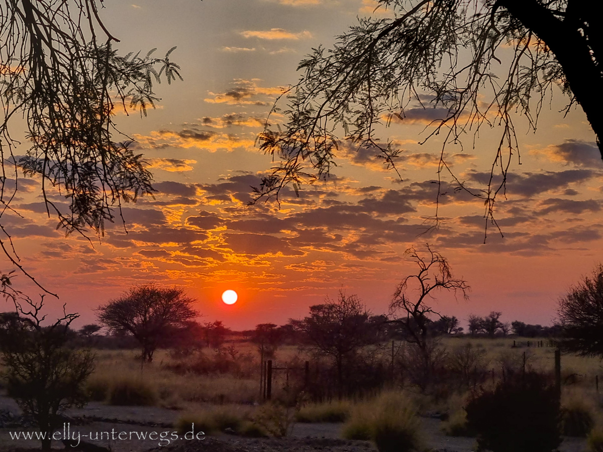 Otjisazu-Namibia-9.jpg