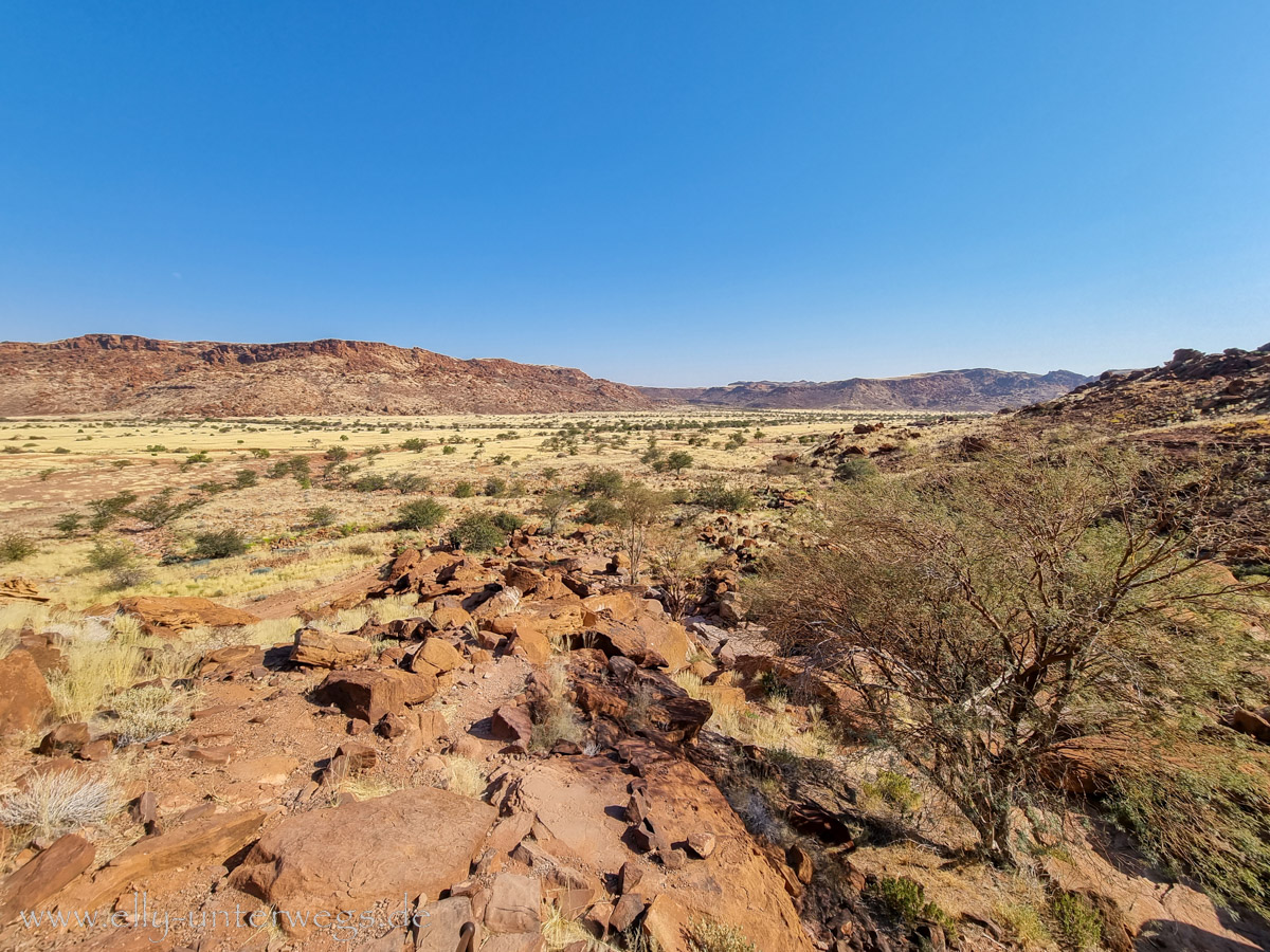 Felsgravuren-Twyfelfontein-29.jpg