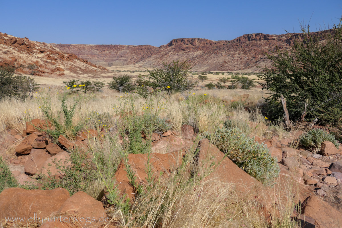 Felsgravuren-Twyfelfontein-57.jpg