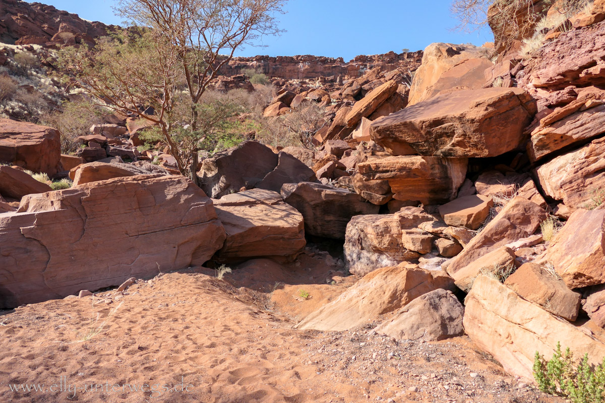 Felsgravuren-Twyfelfontein-59.jpg