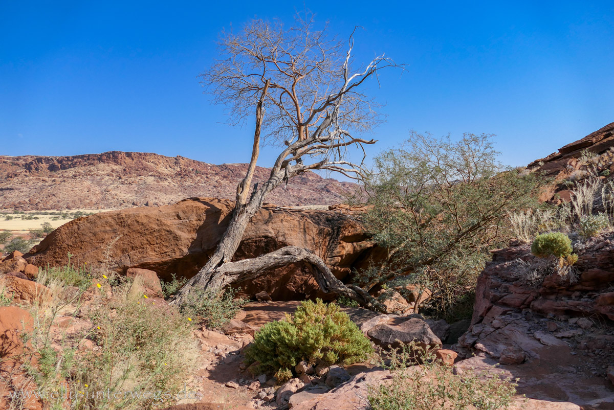 Felsgravuren-Twyfelfontein-60.jpg