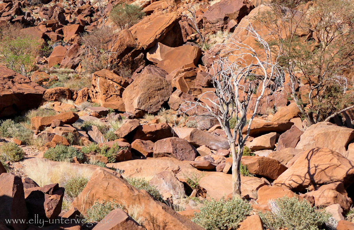 Felsgravuren-Twyfelfontein-66.jpg