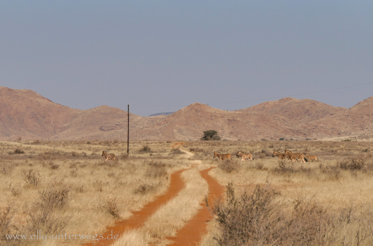 Hammerstein-Namibia-10.jpg
