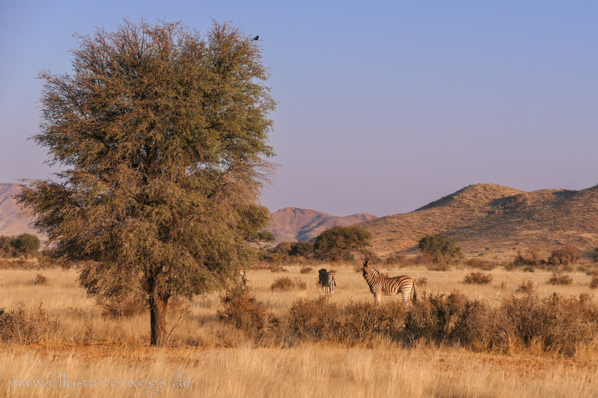 Hammerstein-Namibia-102.jpg