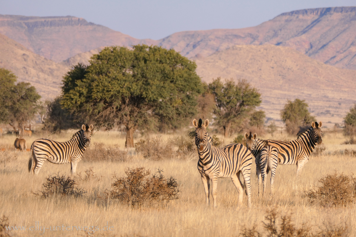 Hammerstein-Namibia-104.jpg