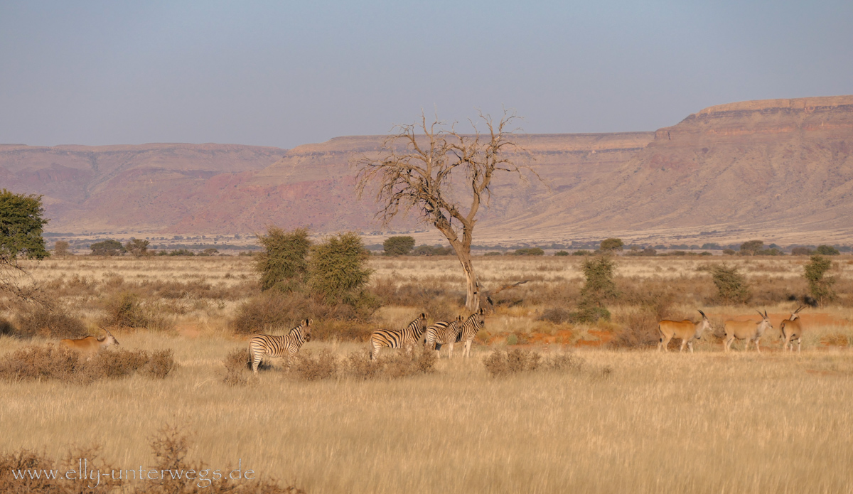Hammerstein-Namibia-106.jpg