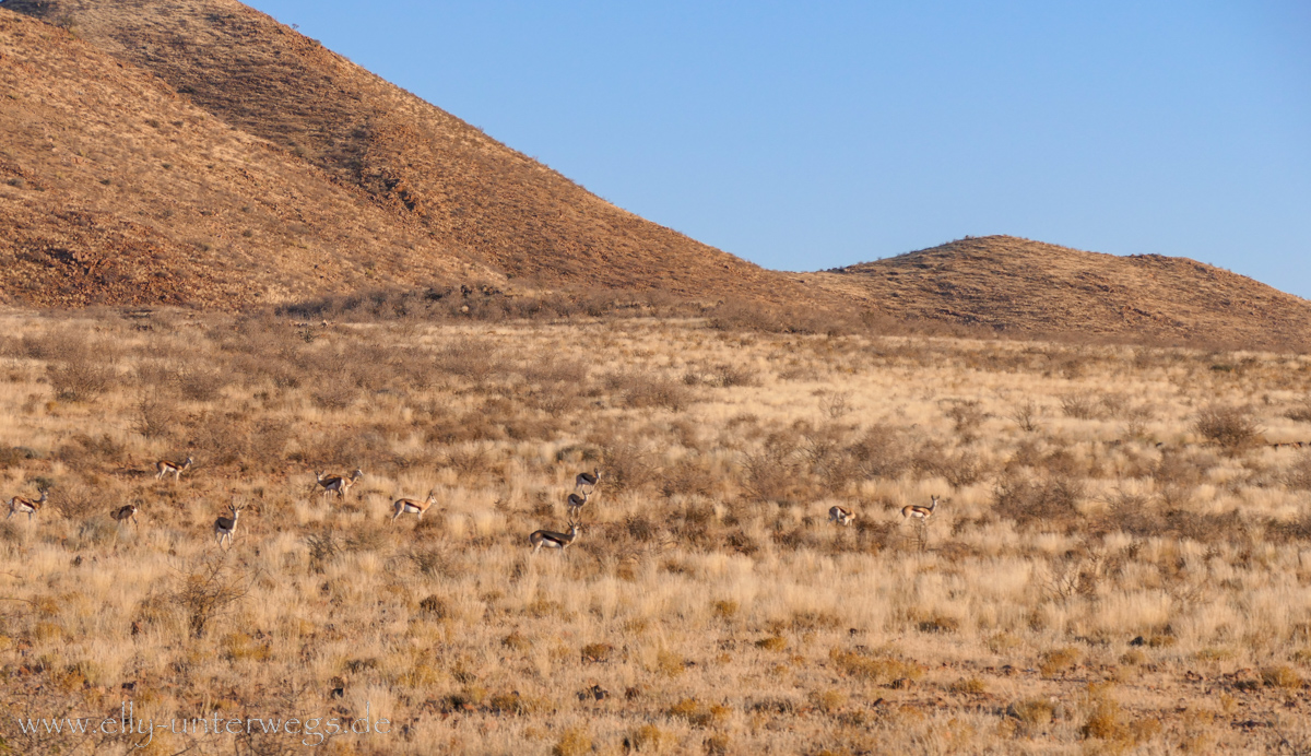 Hammerstein-Namibia-114.jpg