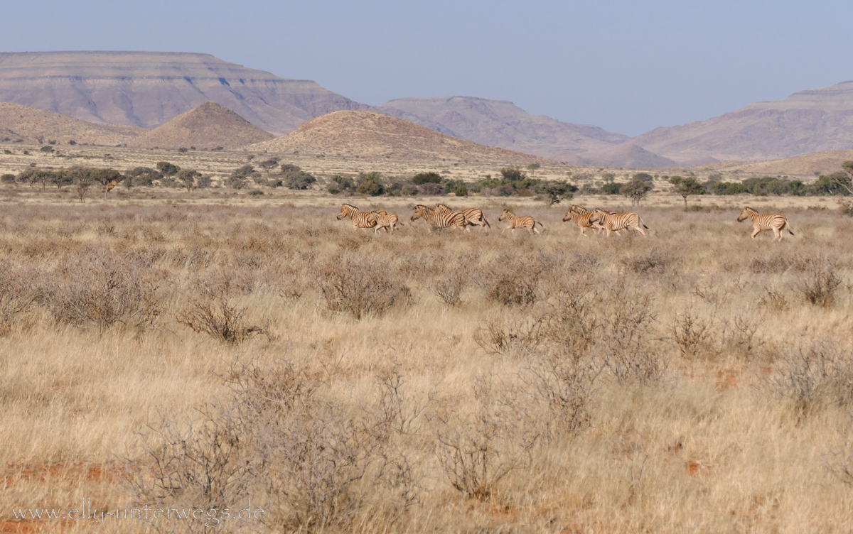 Hammerstein-Namibia-12.jpg