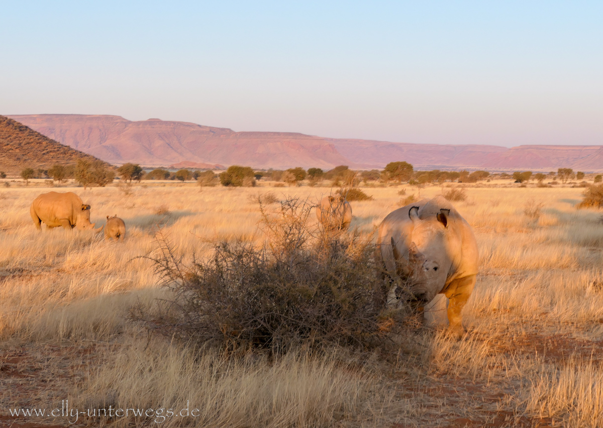 Hammerstein-Namibia-133.jpg