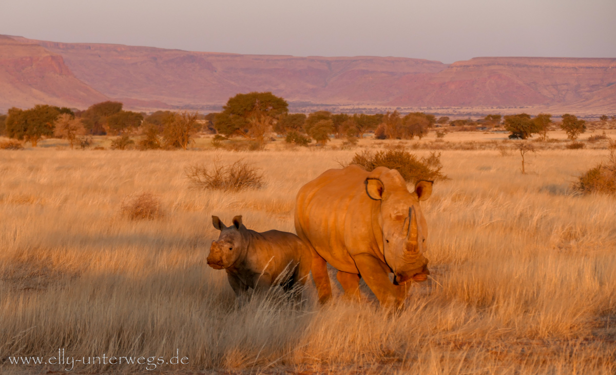 Hammerstein-Namibia-134.jpg