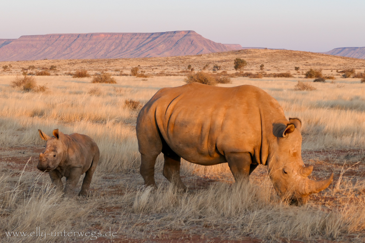 Hammerstein-Namibia-154.jpg