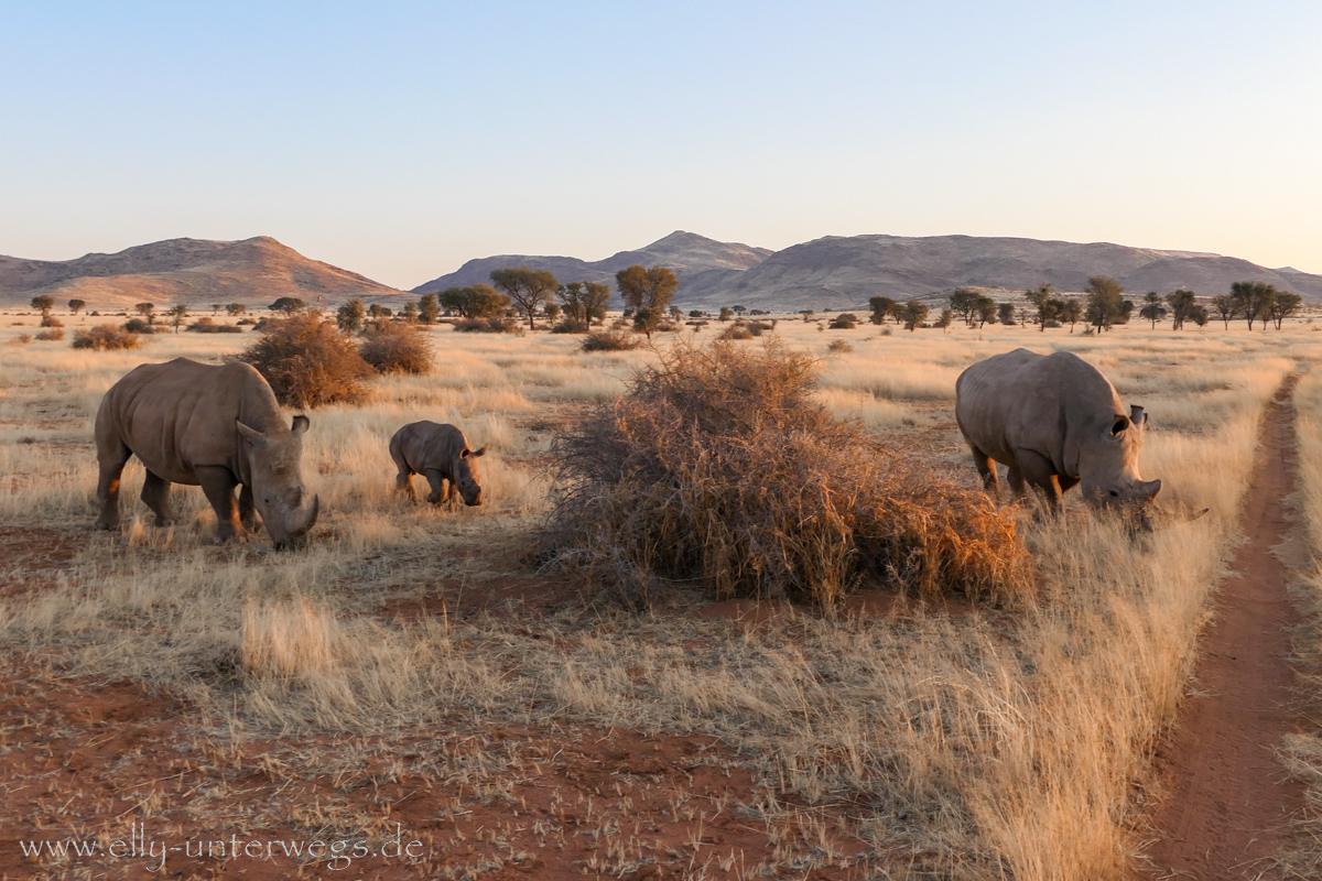 Hammerstein-Namibia-160.jpg