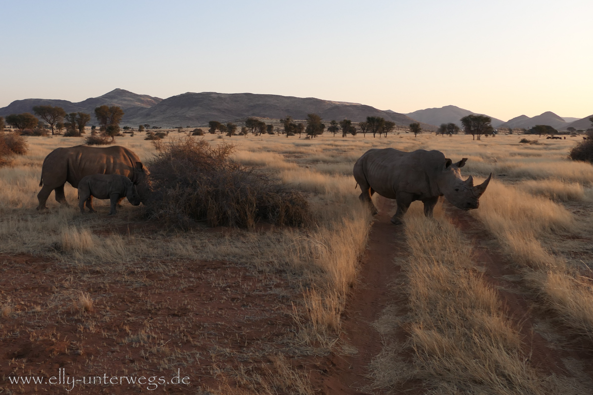 Hammerstein-Namibia-162.jpg