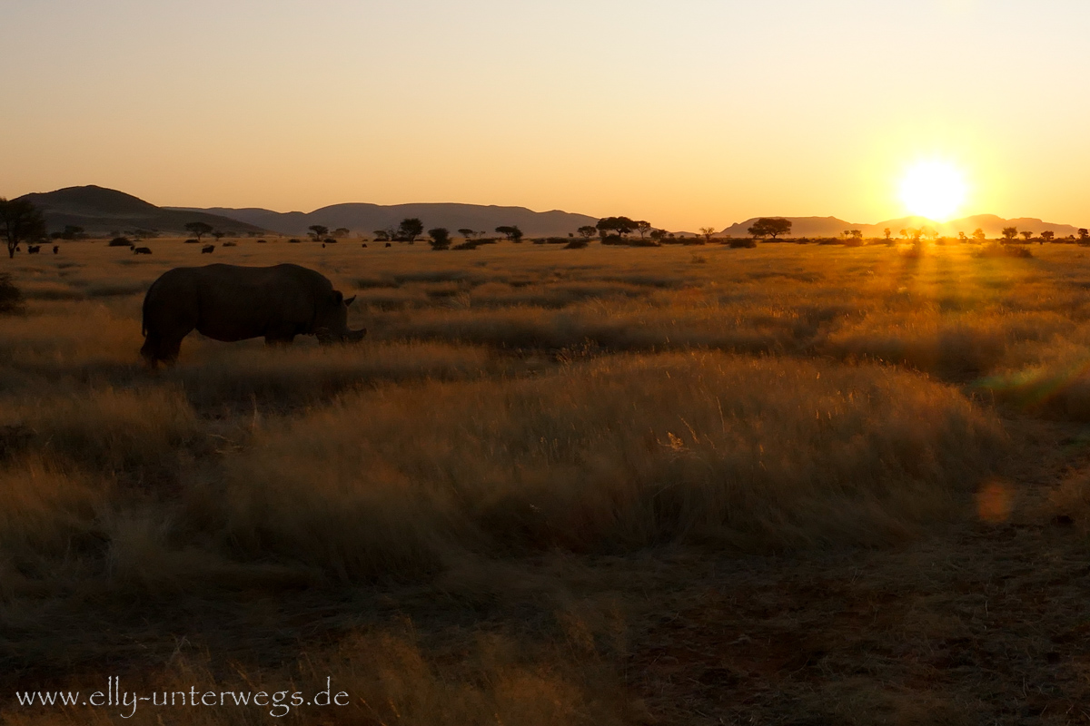 Hammerstein-Namibia-166.jpg