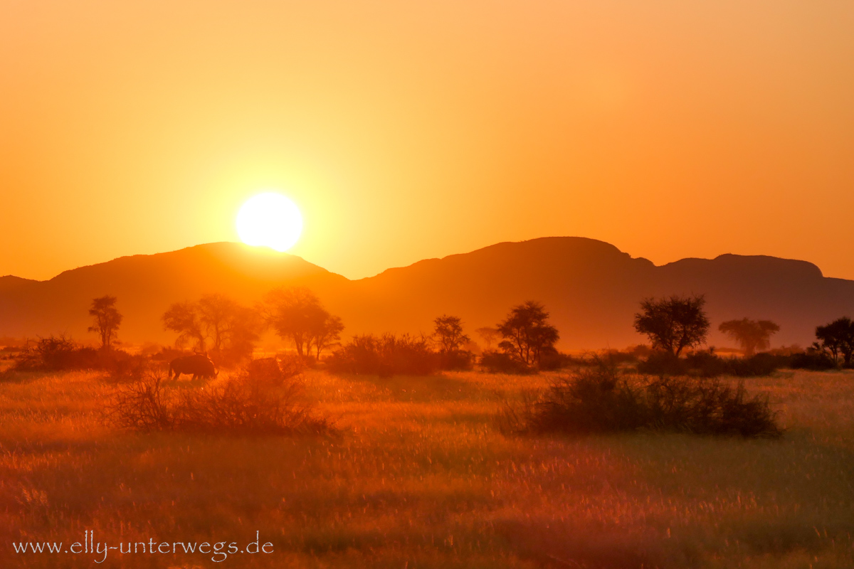 Hammerstein-Namibia-168.jpg