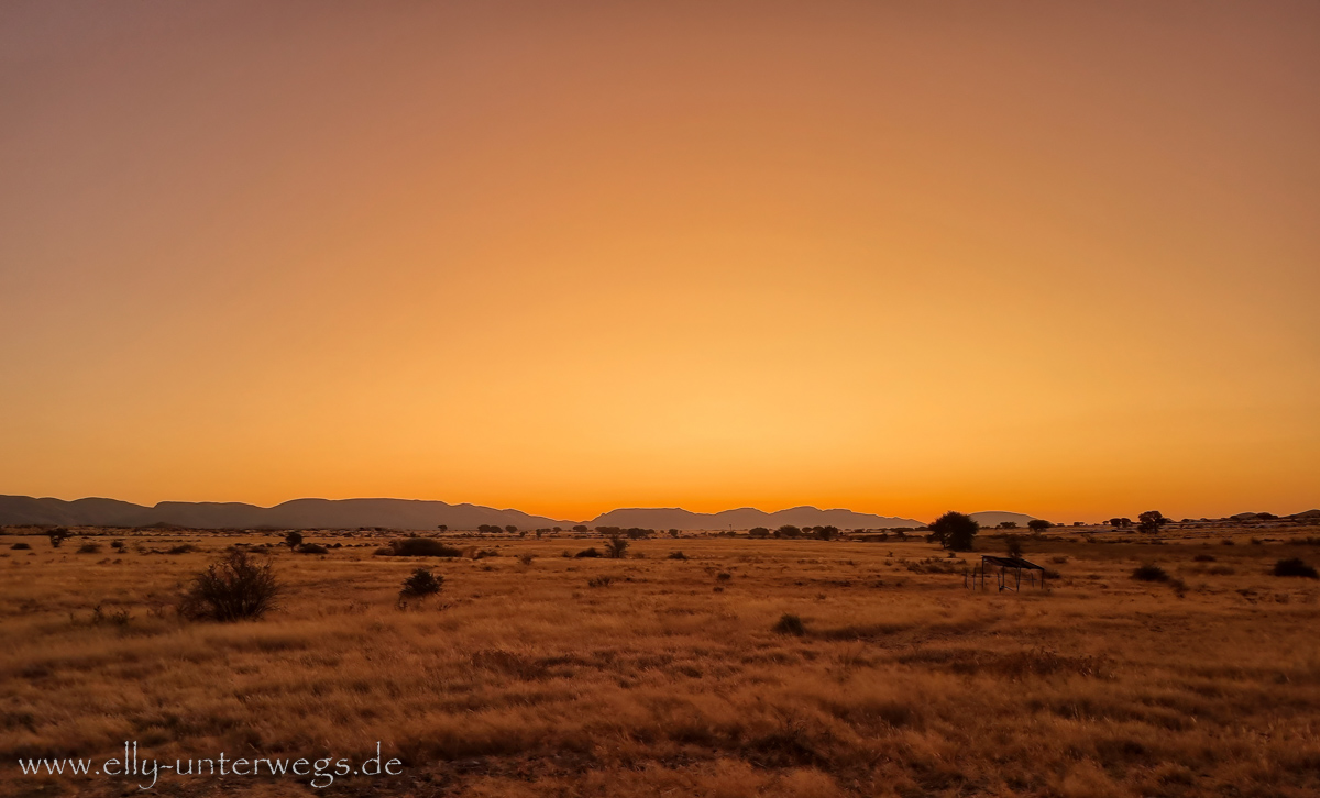 Hammerstein-Namibia-191.jpg