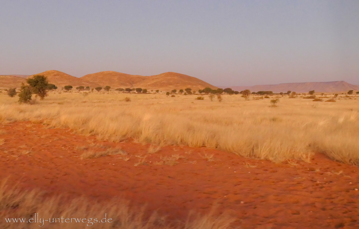 Hammerstein-Namibia-193.jpg