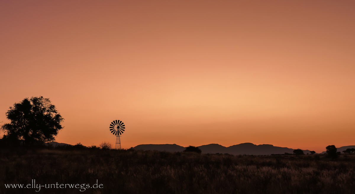 Hammerstein-Namibia-195.jpg