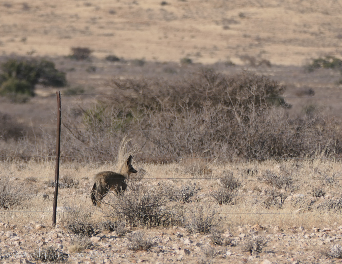 Hammerstein-Namibia-2.jpg