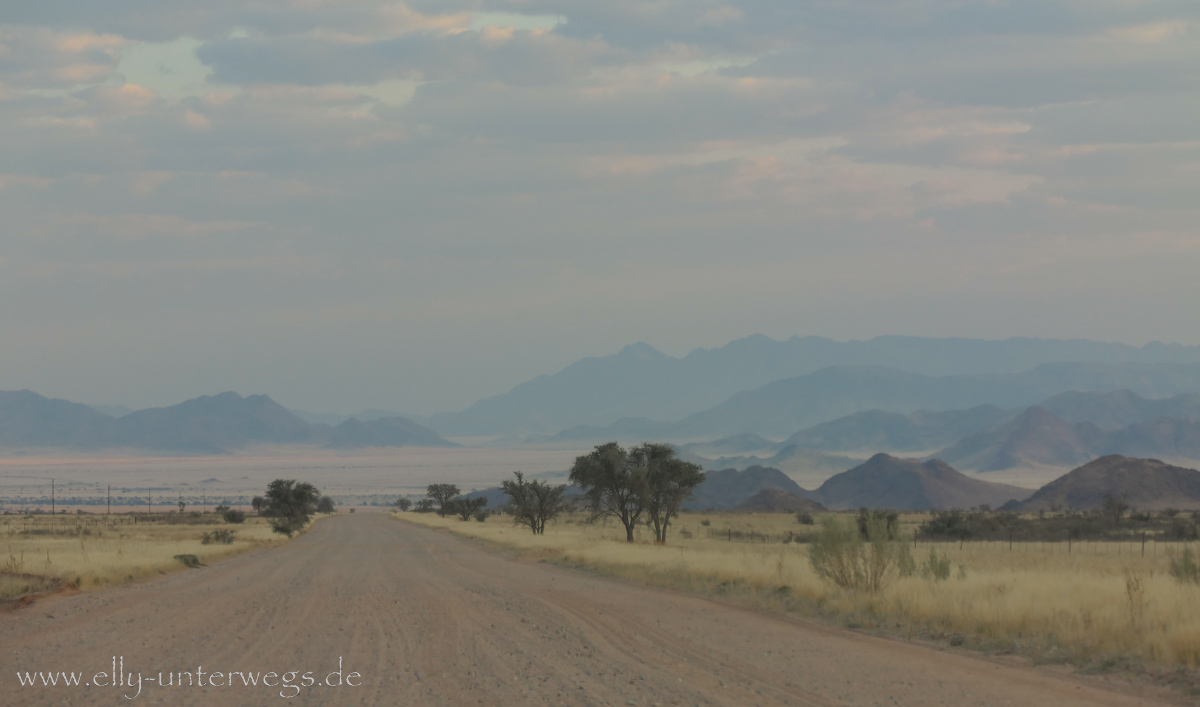 Hammerstein-Namibia-203.jpg