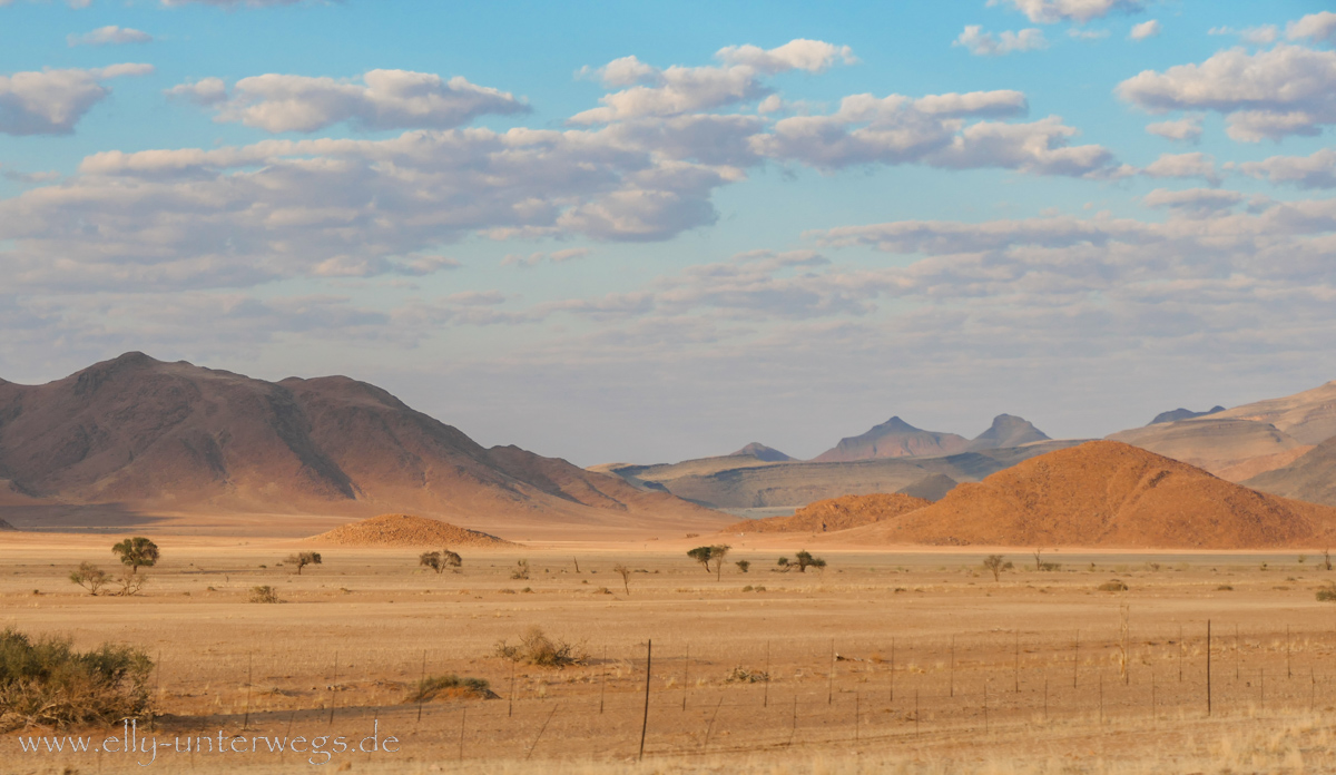 Hammerstein-Namibia-210.jpg