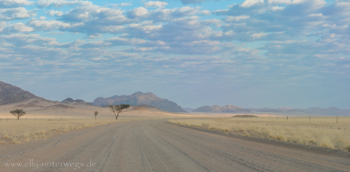 Hammerstein-Namibia-214.jpg