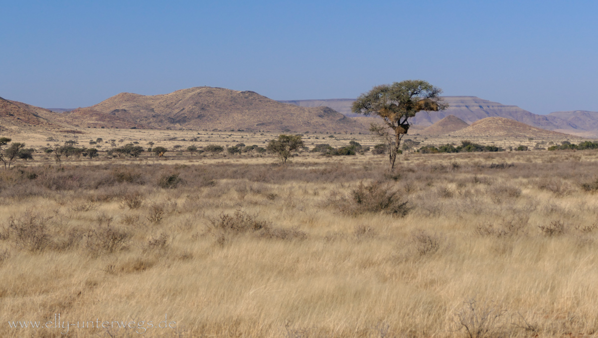 Hammerstein-Namibia-22.jpg