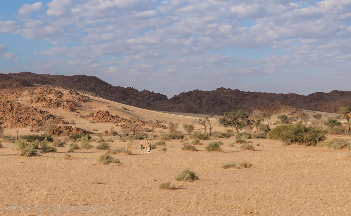 Hammerstein-Namibia-221.jpg