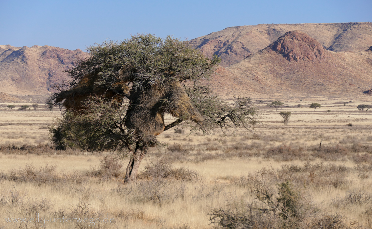 Hammerstein-Namibia-38.jpg