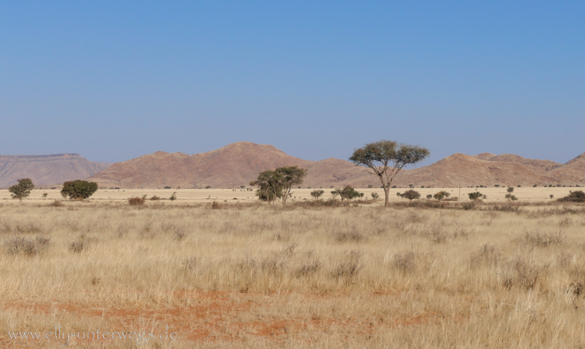 Hammerstein-Namibia-48.jpg