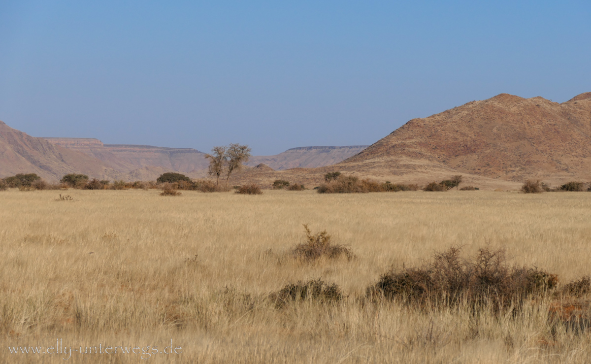 Hammerstein-Namibia-58.jpg