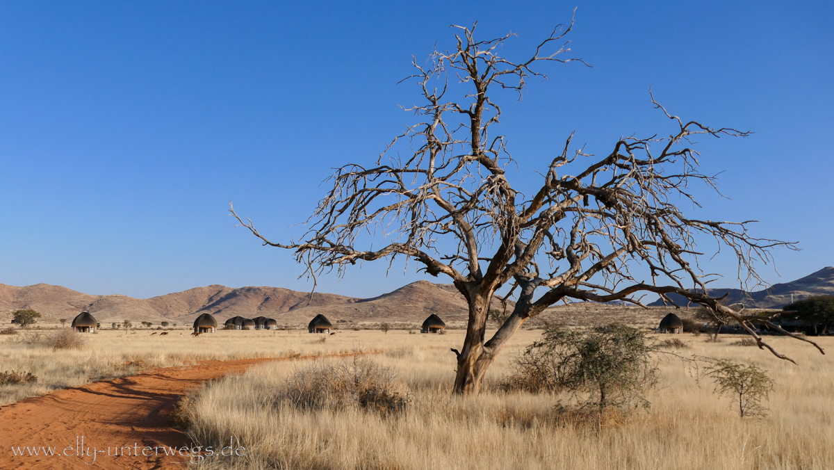 Hammerstein-Namibia-66.jpg