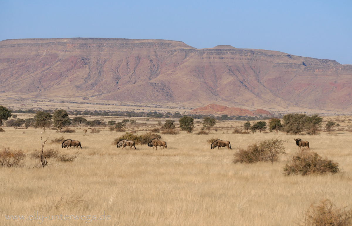 Hammerstein-Namibia-80.jpg