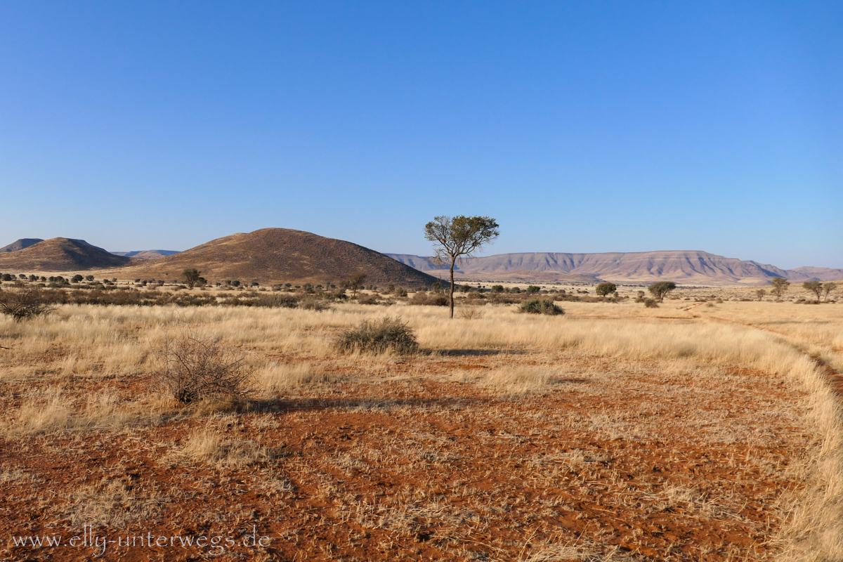 Hammerstein-Namibia-88.jpg