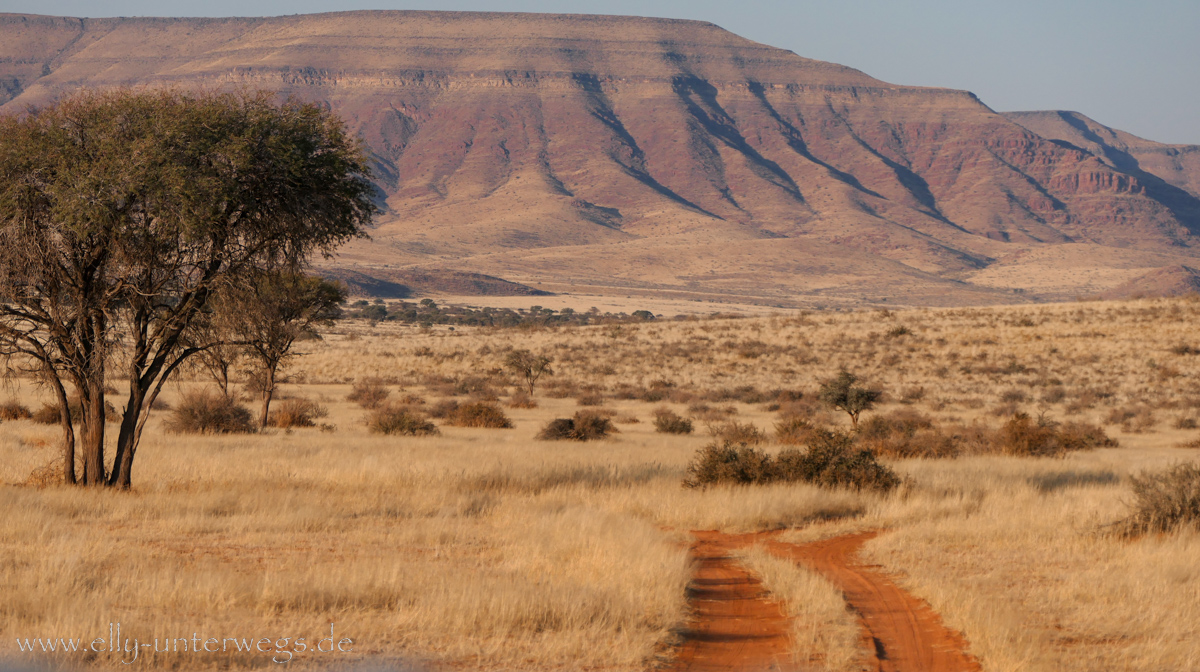 Hammerstein-Namibia-90.jpg