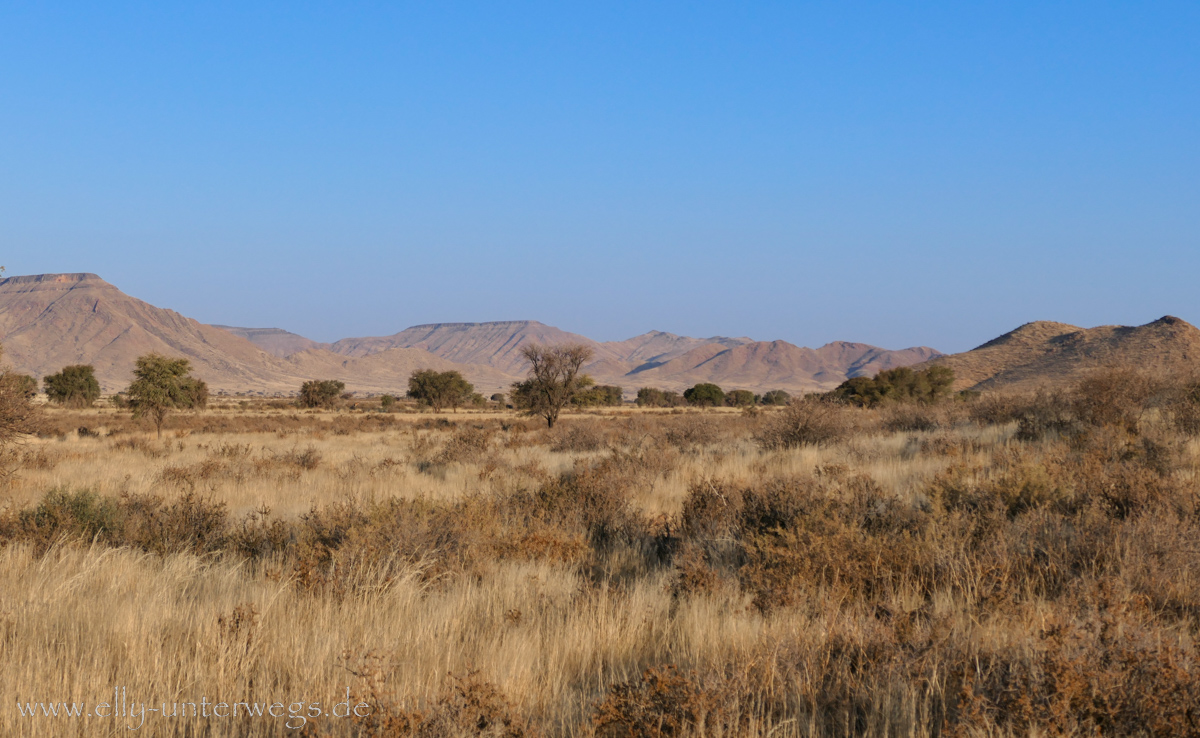 Hammerstein-Namibia-96.jpg