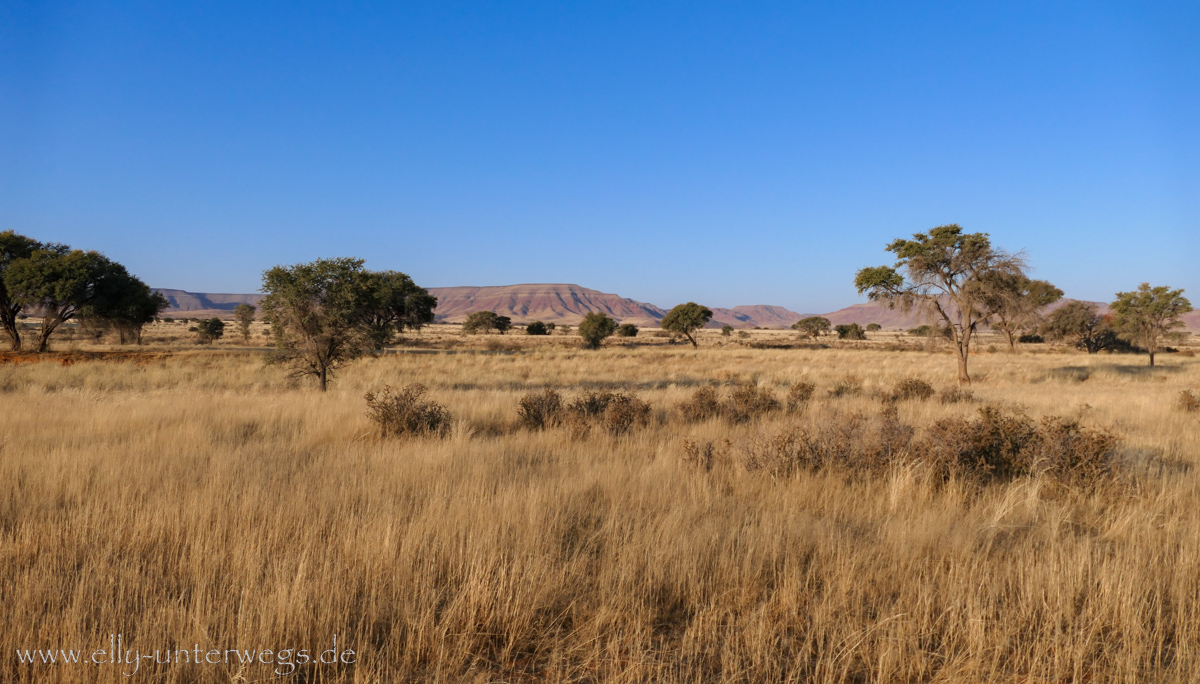 Hammerstein-Namibia-99.jpg